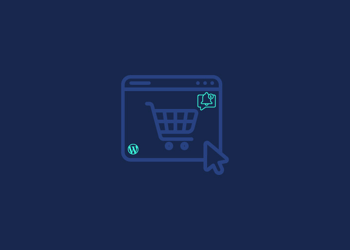How to Set up Push Notifications to Your WordPress Store?