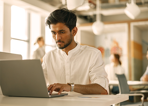 WordPress Experts - Seahawk