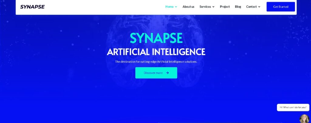 image - Seahawk Synapse AI WordPress Theme