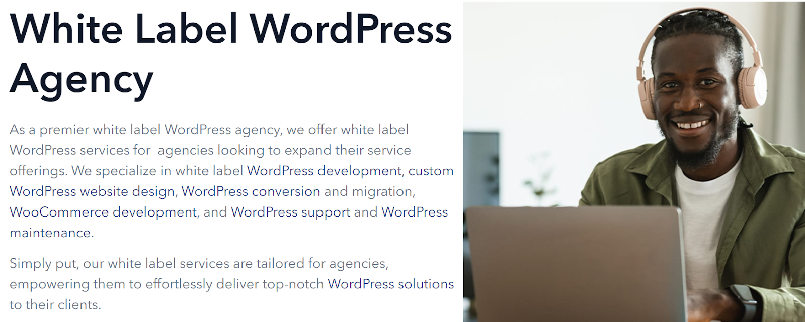 image-1 - Seahawk Hiring a white-label Partner for WordPress