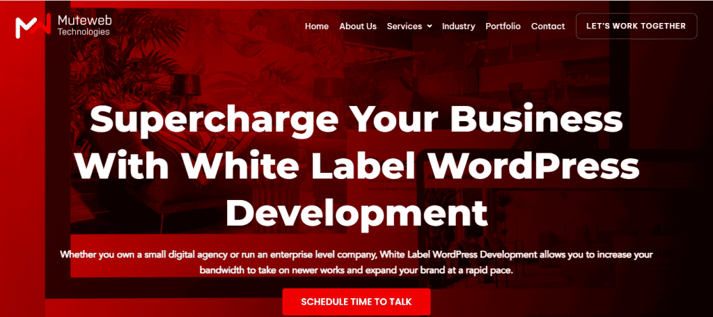 - Seahawk mutewebtechnologies-white-label-wordpress-design