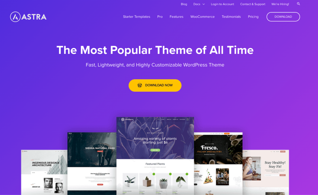 Astra - Seahawk Astra WordPress themes & templates