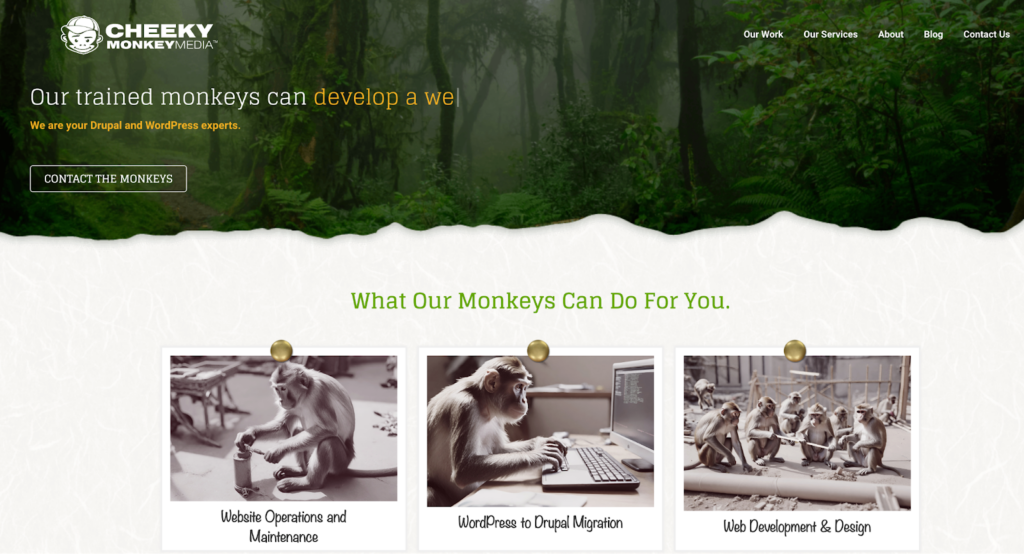 Cheeky-Monkey-Media - Seahawk Cheeky Monkey Media