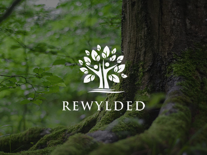 Rewylded