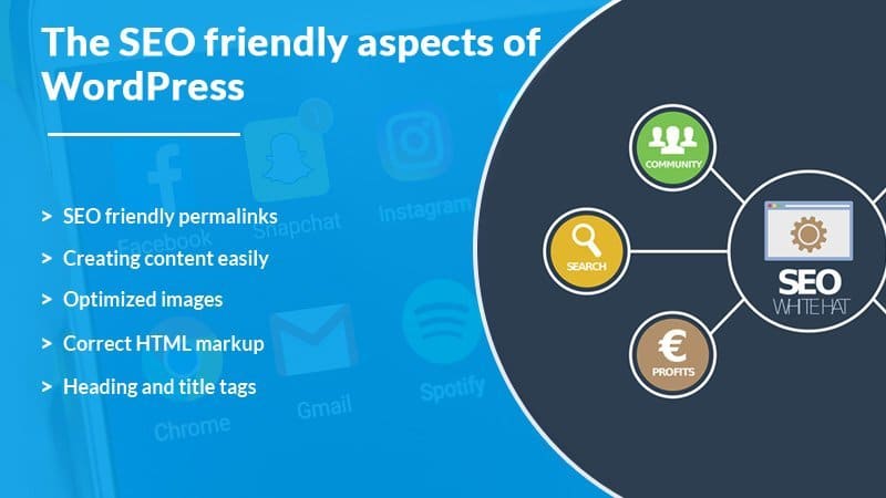 SEO-WordPress - Seahawk Versoly vs WordPress