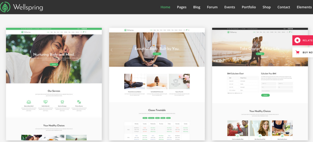 Screenshot-Capture-2024-03-26-16-09-26 - Seahawk wellspring-yoga-wordpress-themes
