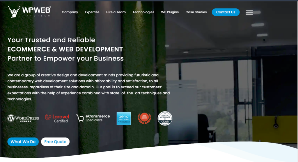 WPweb-infotech-1 - Seahawk WP Web Infotech