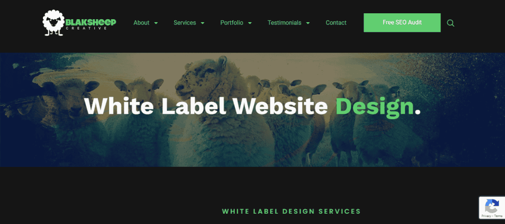 blaksheepcreative-white-label-web-design-services