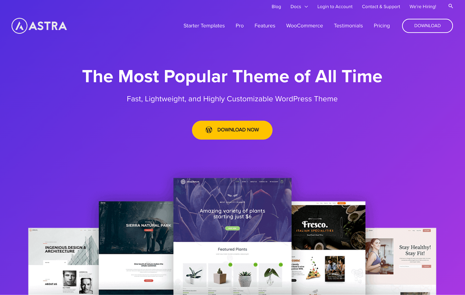 Astra themes for small businesses