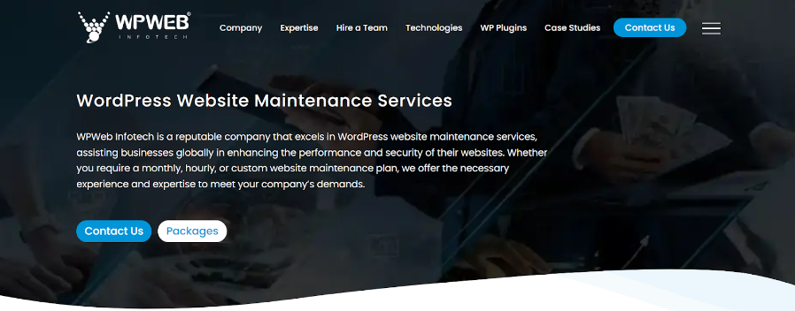 - Seahawk WPWeb info tech - WordPress maintenance service
