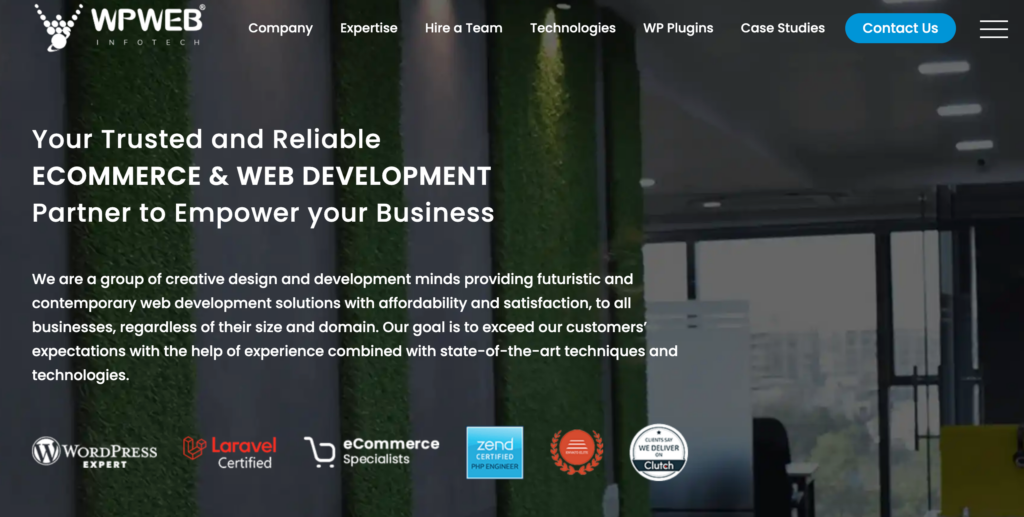WPWeb Infotech