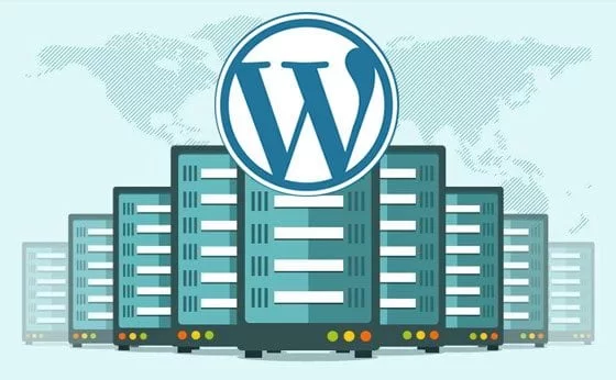 1.1-7 - Seahawk Shared Hosting Vs WordPress Hosting