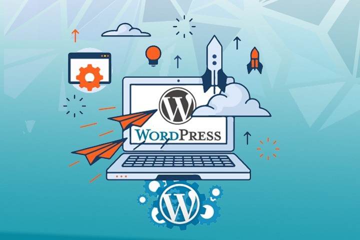 1.1 - Seahawk Offshore WordPress Development