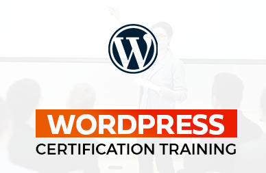 2.13 - Seahawk WordPress Developer