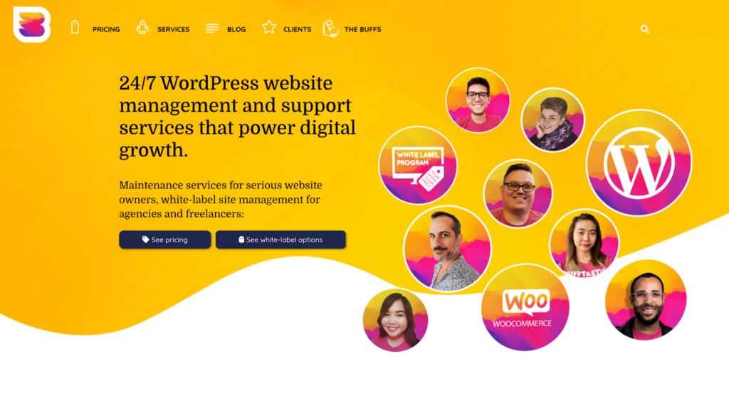 2.5 - Seahawk WordPress Customer Support