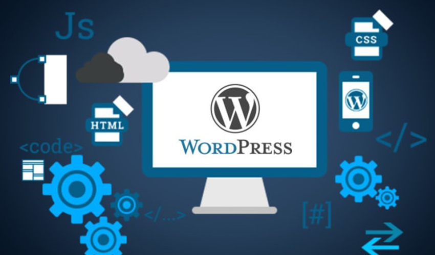 2.8 - Seahawk WordPress Developer