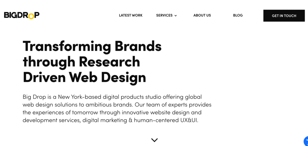 web-development-company