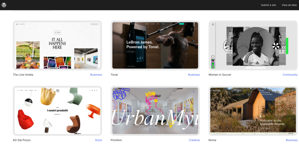 Screenshot-Capture-2024-04-25-19-21-21 - Seahawk Build-different-types-of-wordpress-websites