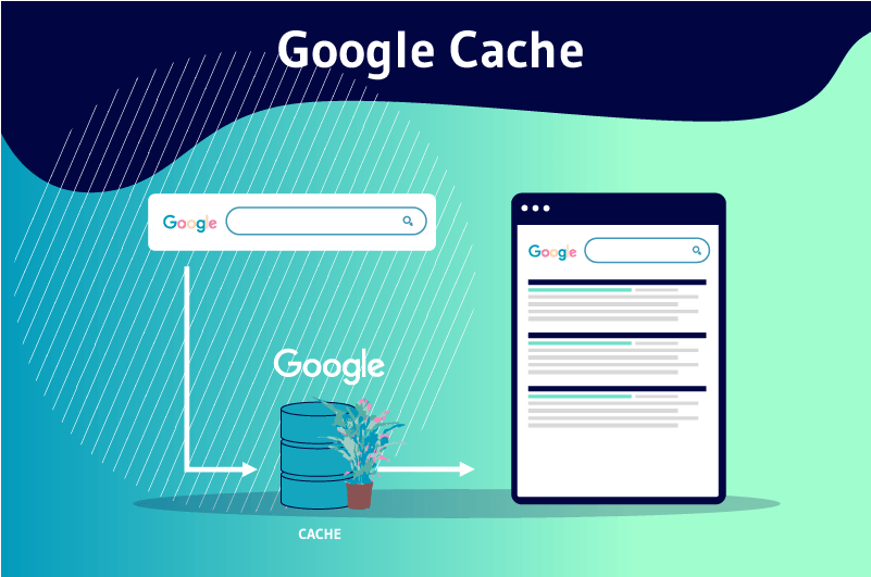 Temporary Google Cache - Seahawk Temporary Google Cache