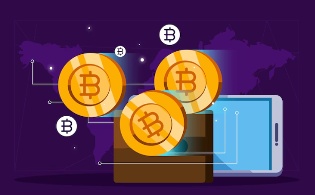 bitcoin-wallets - Seahawk bitcoin-wallets