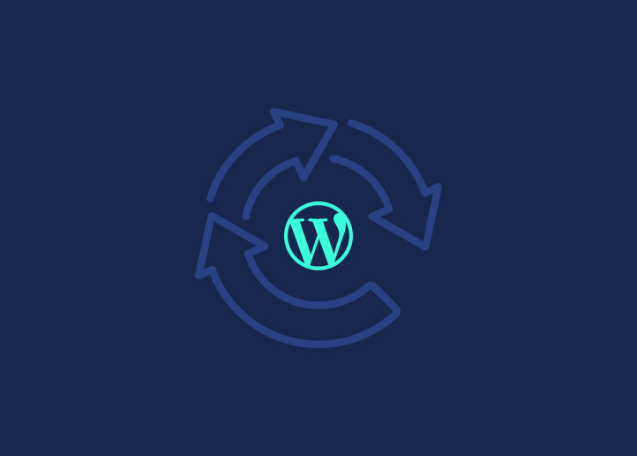 WordPress reCAPTCHA