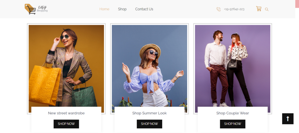 choose-lightweight-theme-woocommerce-site-speed