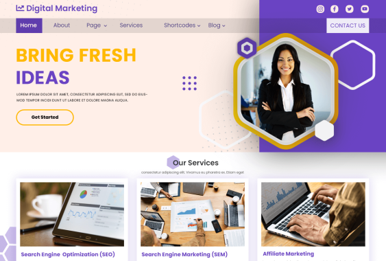 digital-marketing-expert-free-wordpress-agency-themes - Seahawk digital-marketing-expert-free-wordpress-agency-themes