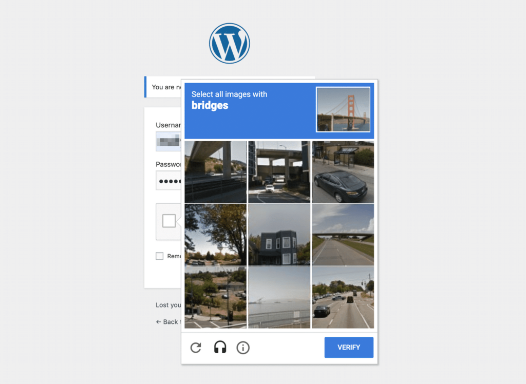 recaptcha-1 - Seahawk WordPress reCAPTCHA