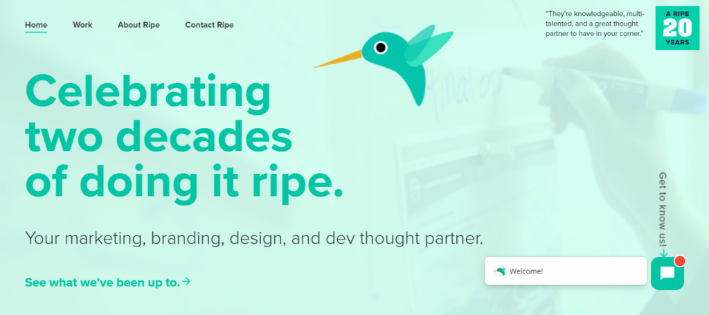 ripemedia-web-design-agencies-usa - Seahawk ripemedia-web-design-agencies-usa