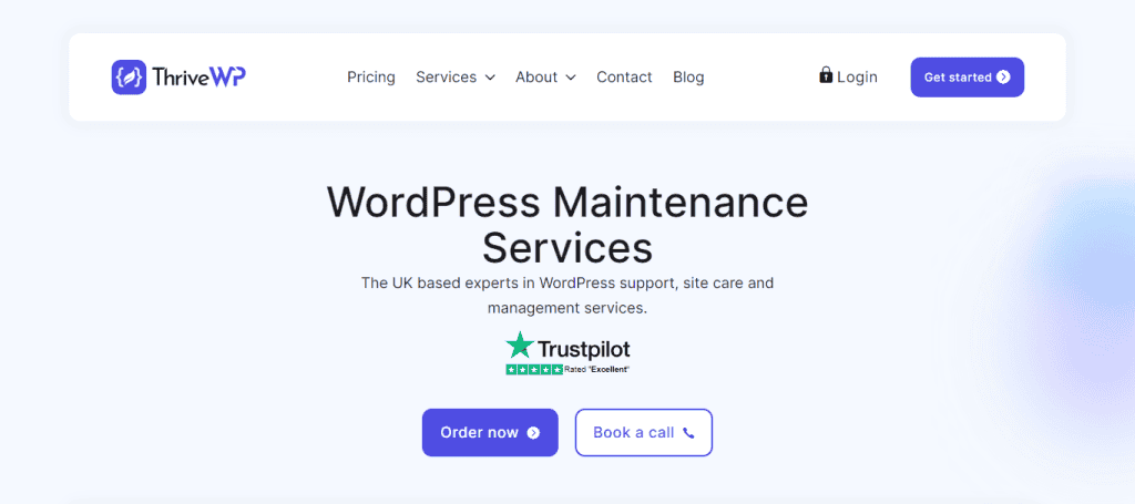thrivewp-wordpress-maintenance-services - Seahawk thrivewp-wordpress-maintenance-services