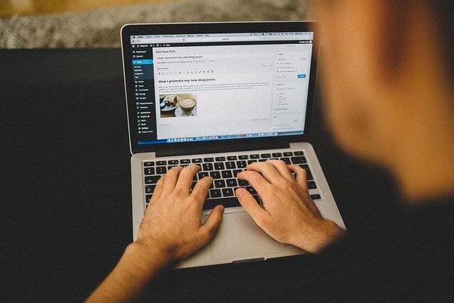 use-starter-themes - Seahawk use-starter-themes