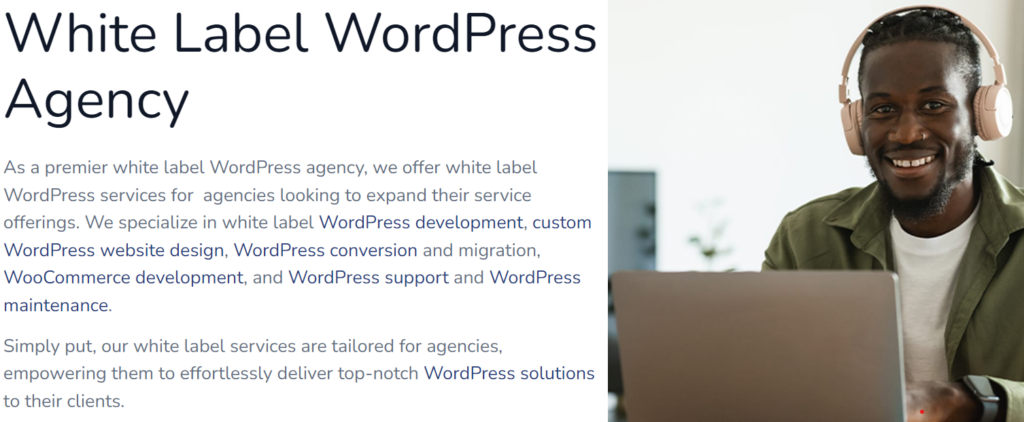 white-label-wordpress-services - Seahawk effectiveness of white-label WordPress services