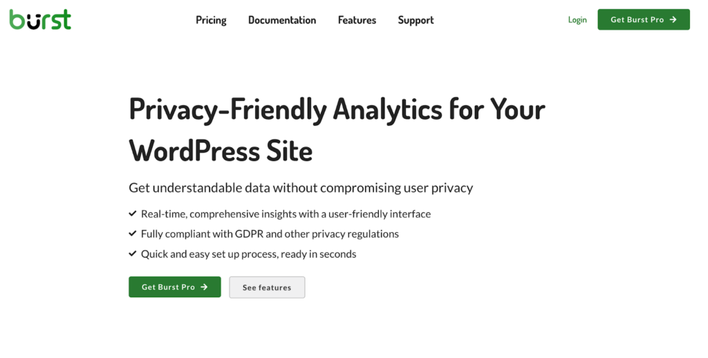 0.5 - Seahawk Burst Statitics_Google Analytics Alternatives