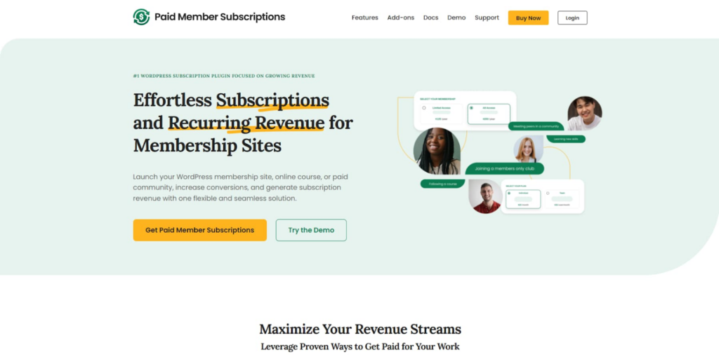 2.6 - Seahawk WordPress Paywall Plugins_Paid Member Subscriptions