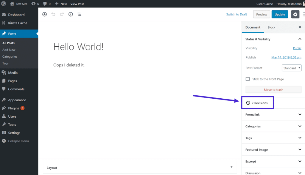 4.6-2 - Seahawk How to Undo Changes in WordPress