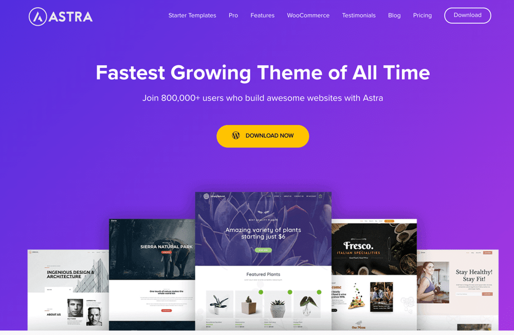 7.5-1 - Seahawk Astra_WordPress Blog Themes