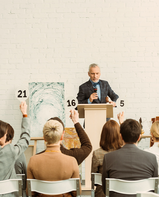 How Can an Auction Website Help You - Seahawk auction-website-design