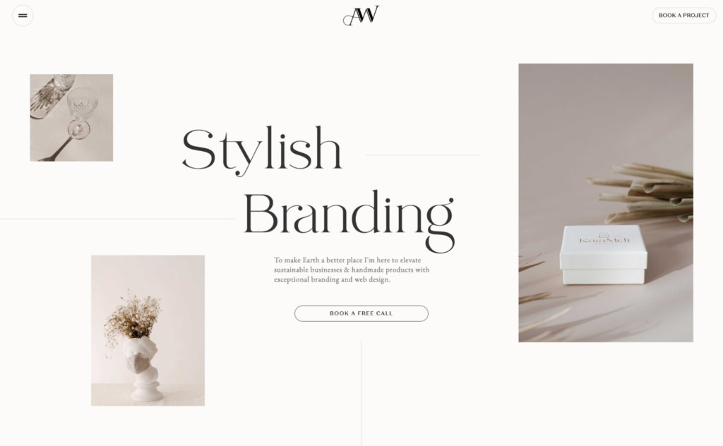 649a197d1b4c732138e85bcc_adrienn-white-branding - Seahawk Example of minimalist website design