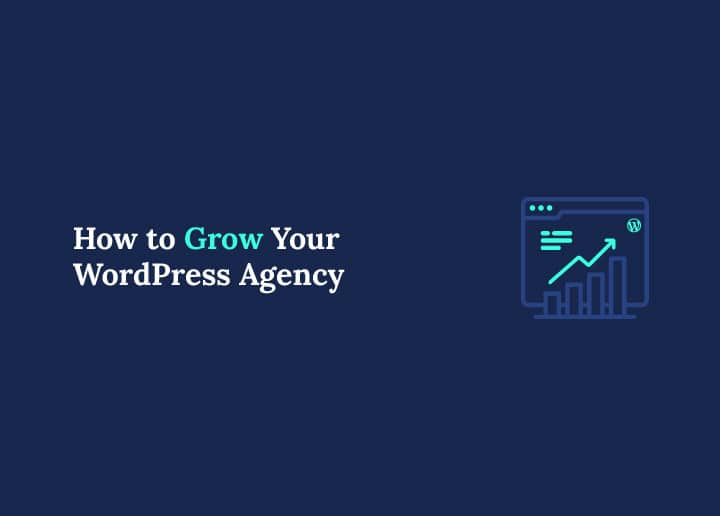 WordPress Agency