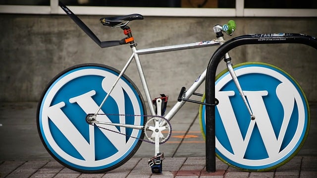 flexibility-of-WordPress - Seahawk White-Label Services Lack Flexibility