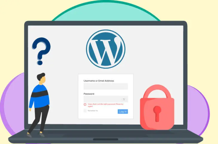 locked-out-of-wp-admin-opt-730x485.jpg - Seahawk Admin Locked out of WordPress Dashboard