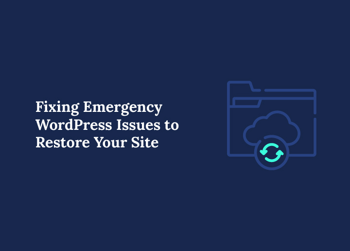 Emergency WordPress Troubleshooting
