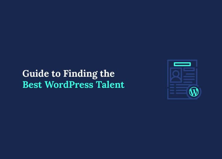 Guide to Finding the Best WordPress Talent