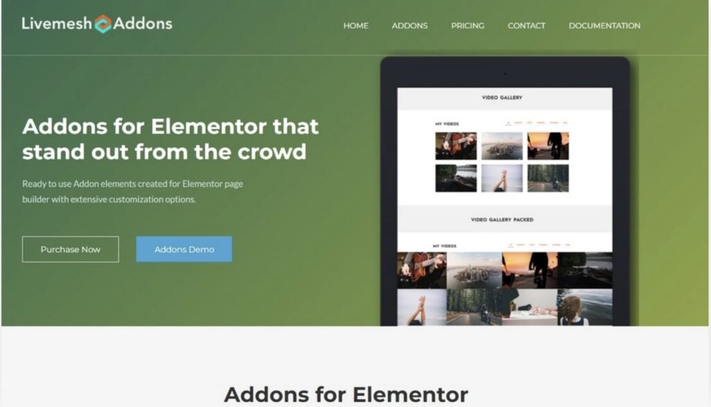 Screenshot - Seahawk Livemesh-addon-elementor