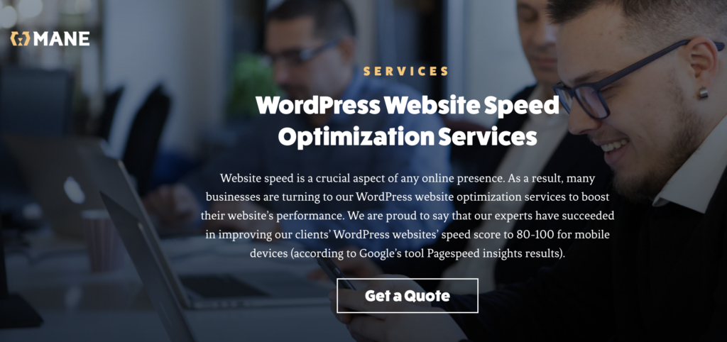 Mane Digital for white-label WordPress speed optimization