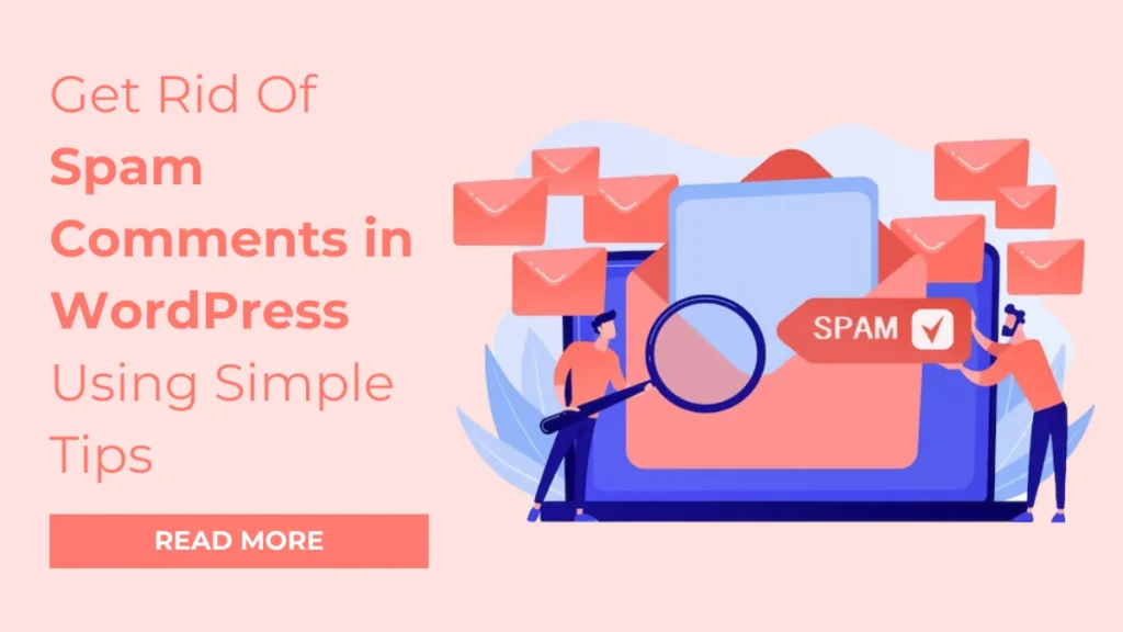 Spam-Comments-in-WordPress - Seahawk Spam-Comments-in-WordPress