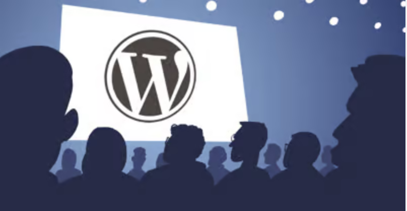 WordPress-expertise - Seahawk WordPress-expertise