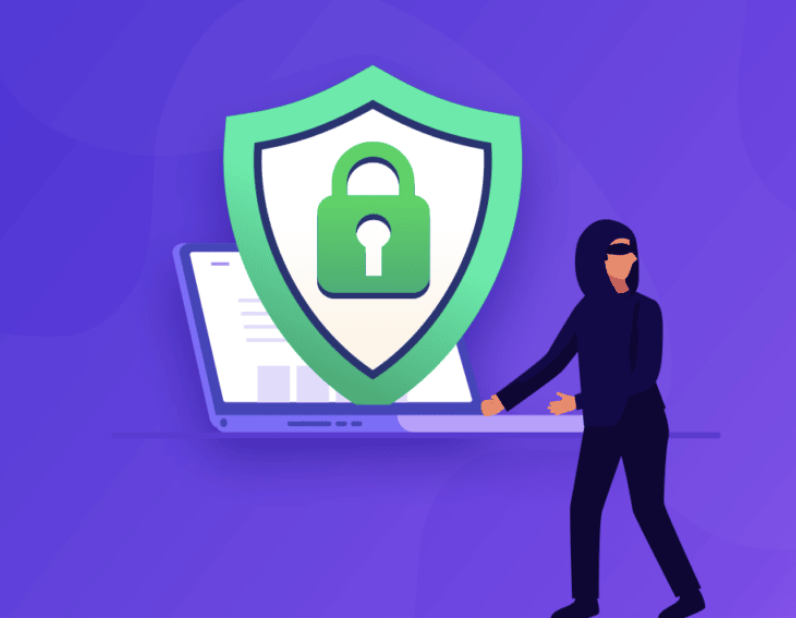 WordPress-scanning - Seahawk check-for-vulnerabilities