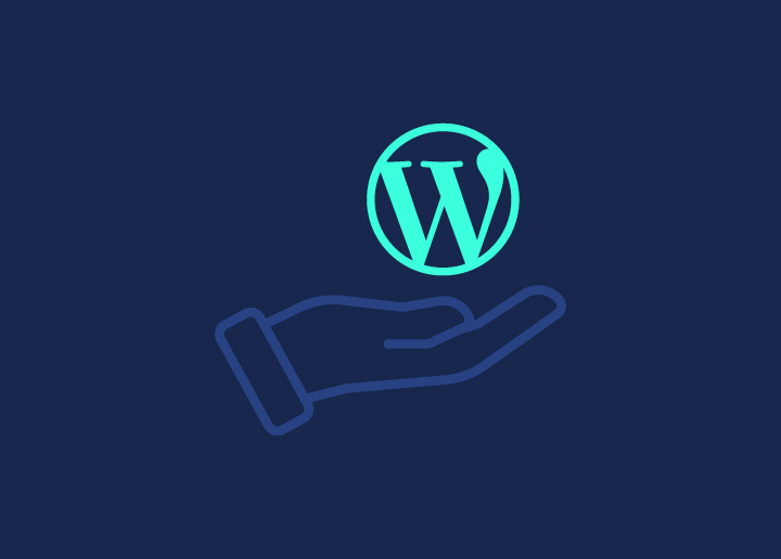 Reason-to-opt-for-WordPress-support-plans