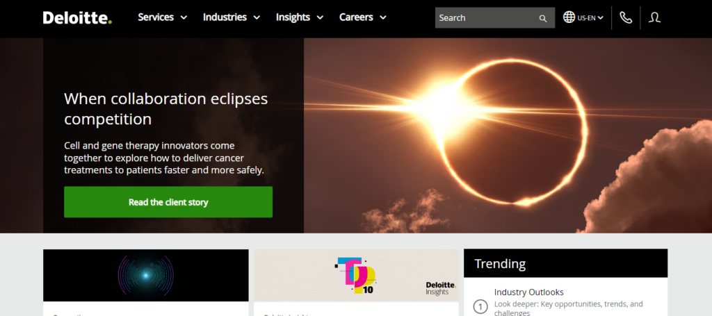 deloitte-consulting-website-design - Seahawk deloitte-consulting-website-design